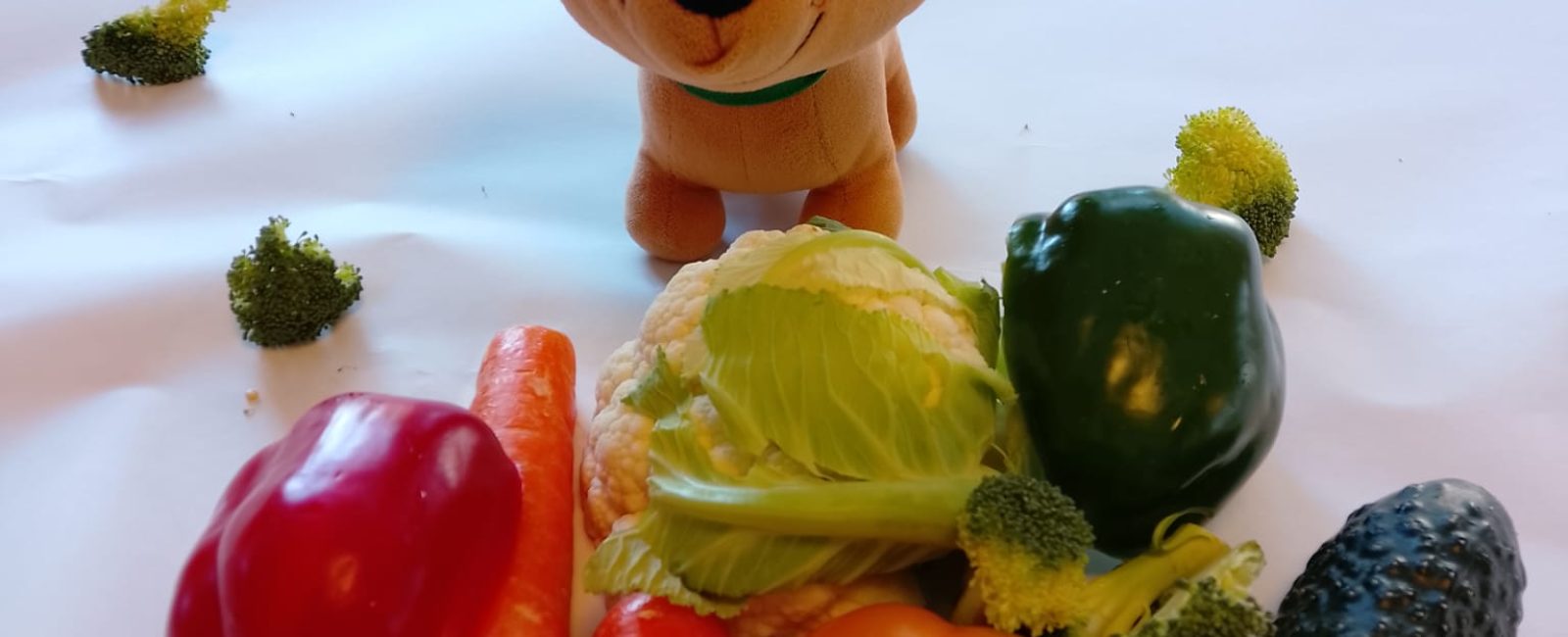 WhatsApp Image 2026-02-20 at 11.09.01 (1)